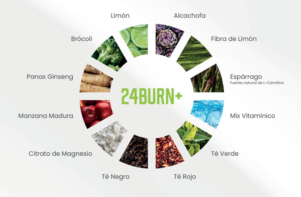24 BURN 🔥 QUEMA GRASA SIN ESFUERZO